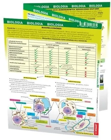 Maxi ściąga. Biologia