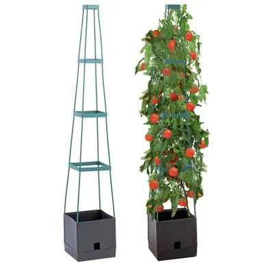 Maximex, doniczka z podporami do uprawy pomidorów, roślin pnących, 150 cm