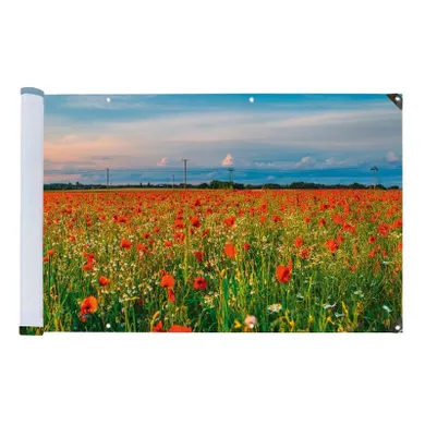 Maximex, osłona balkonowa odporna na uv, 500-85 cm