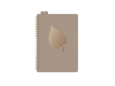 MFP, kołozeszyt z gumką A5, 80 kartek, linia, brązowy, 1 szt.