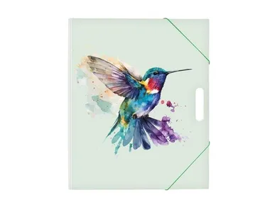 MFP, teczka z gumką A4, Koliber, 1 szt.