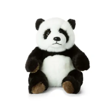 Molli Toys, Panda, maskotka, 23 cm