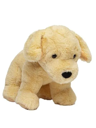Molli Toys, Pies Golden Retriever, maskotka, 30 cm