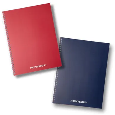 Narcissus, Swing, kołonotatnik, A4, 80 kartek, kratka, Mono