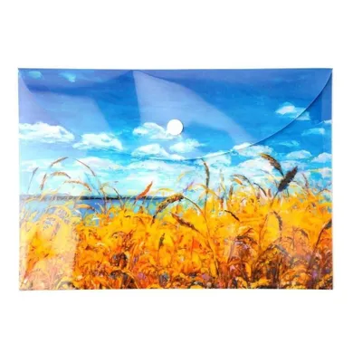 Narcissus, teczka kopertowa, A5, niebo, 1 szt.