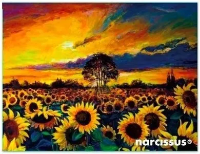 Narcissus, teczka kopertowa A6, PP, Słoneczniki, 1 szt.