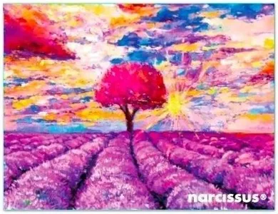 Narcissus, teczka kopertowa A7, PP, Lawenda, 1 szt.