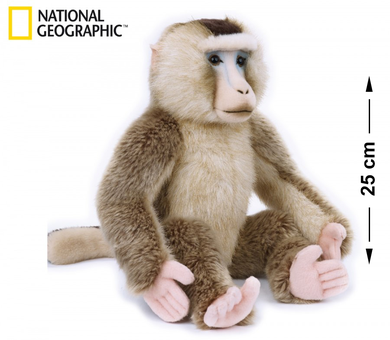 National Geographic, makak orientalny, maskotka, 25 cm