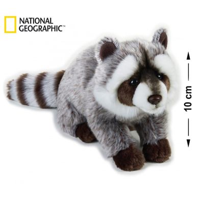National Geographic, szop pracz, maskotka, 15 cm