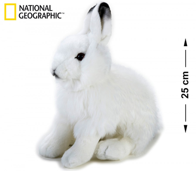 National Geographic, zając polarny, maskotka, 25 cm