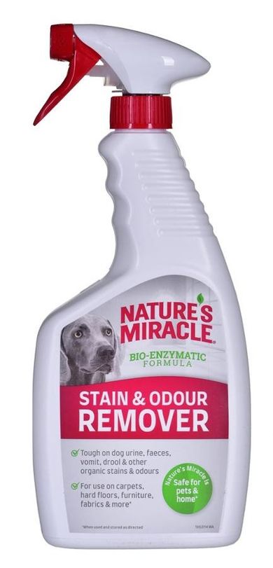 Nature's Miracle, Stain & Odour Remover, preparat do usuwania plam i zapachu, pies, 709 ml