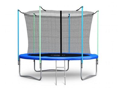 Neo-sport, trampolina ogrodowa z siatką wewnętrzną i drabinką, 252 cm