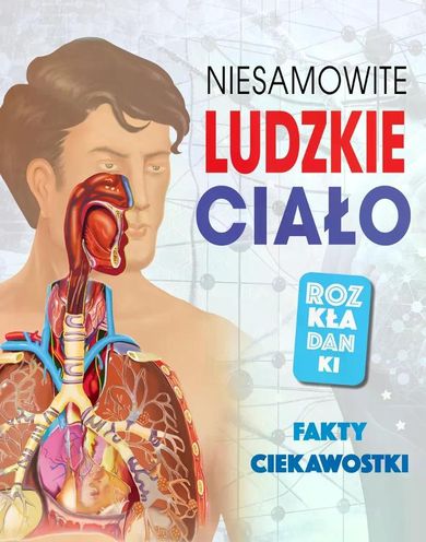 Niesamowite ludzkie ciało. Fakty, ciekawostki. Rozkładanki