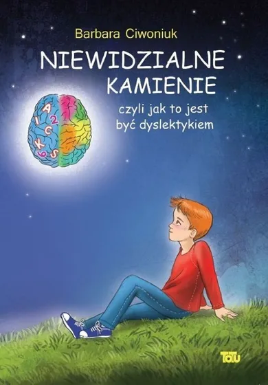 Niewidzialne kamienie