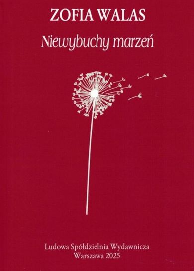 Niewybuchy marzeń