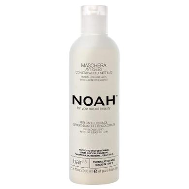 Noah, Anti-Yellow Hair Mask With Blueberry Extract, maska do włosów blond i siwych, 250 ml