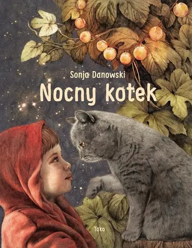 Nocny kotek