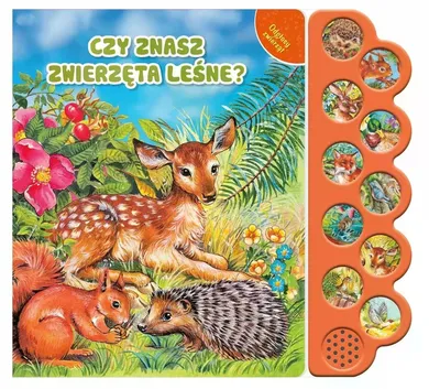 Odgłosy zwierząt. Czy znasz zwierzęta leśne?