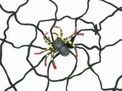 Pajęczyna dekoracyjna, czarna, z pająkiem, 150 cm