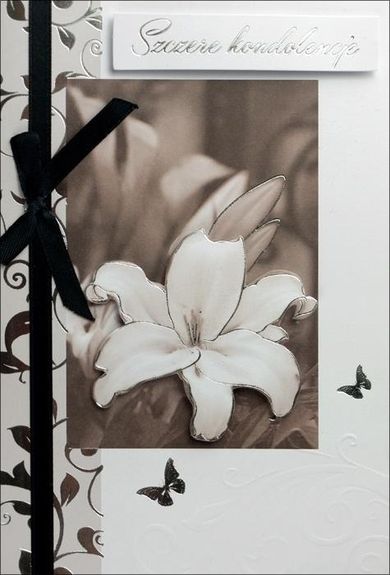 Pan Dragon, karnet, Kondolenje