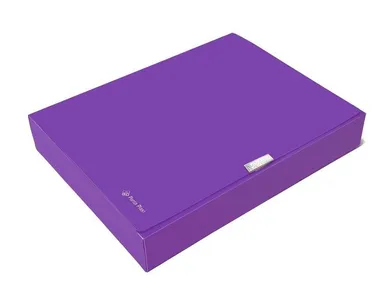 Panta Plast, teczka A4, neon, fioletowa, 55 mm, 1 szt.