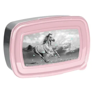 Paso, lunchbox, Horse