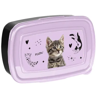 Paso, lunchbox, Striped Cat