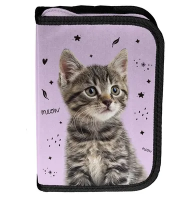 Paso, piórnik rozkładany, pojedynczy, z wyposażeniem, Striped Cat