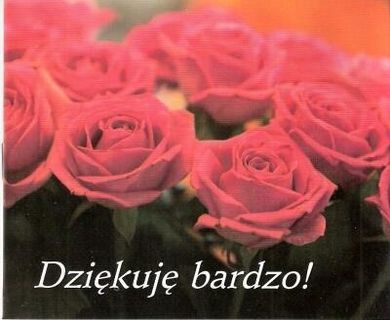 Perełka 156. Dziękuję bardzo!
