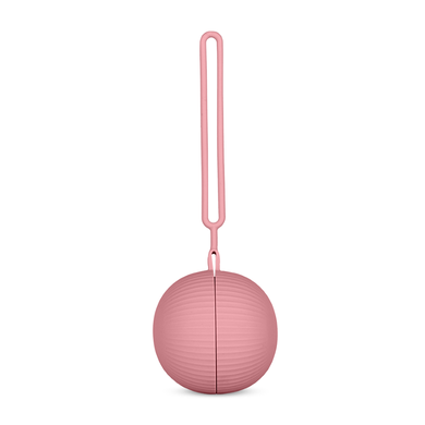 Petite&Mars, Take&Match, silikonowe etui na smoczek, Dusty Rose, 6m+