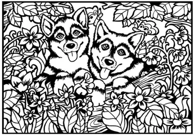 Pieski. Kolorowanka welwetowa A4