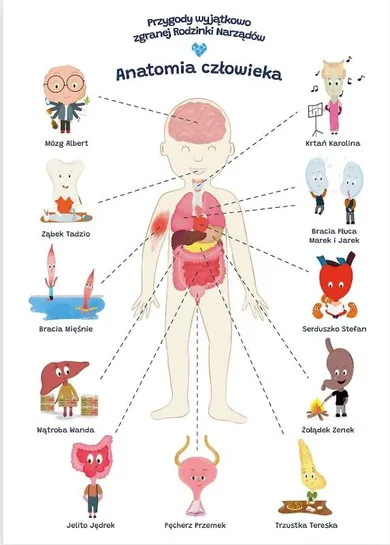 Plakat edukacyjny A2, anatomia człowieka