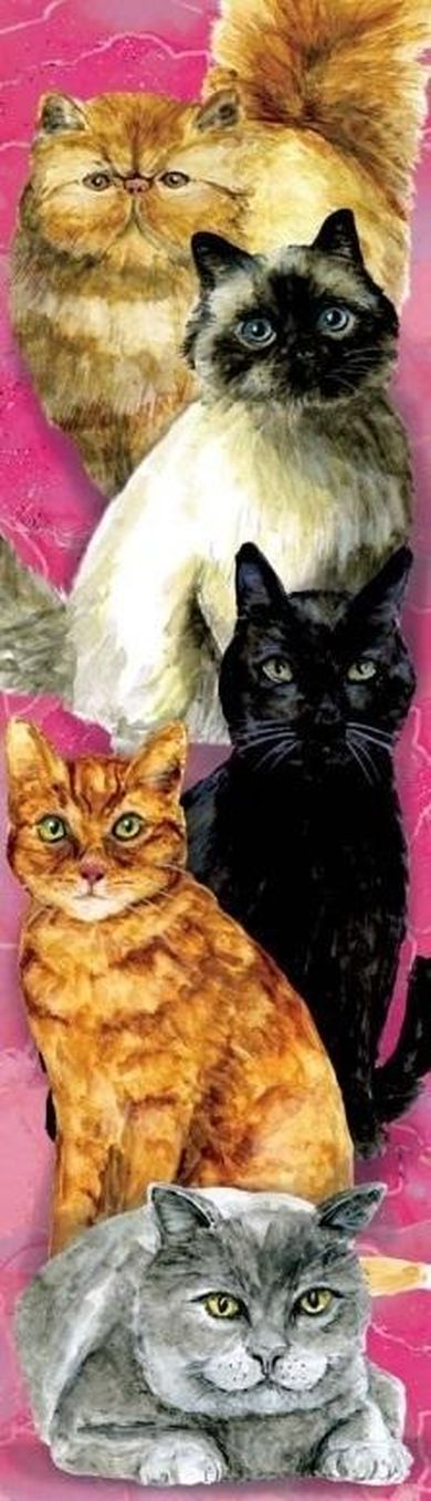 Plan, zakładka do książki, koty