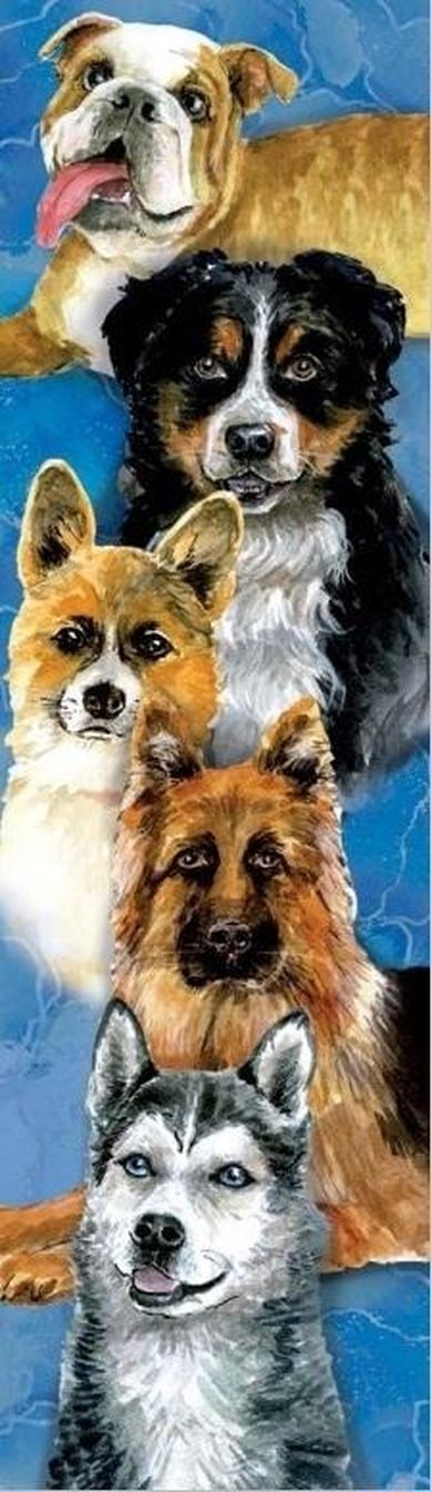 Plan, zakładka do książki, psy