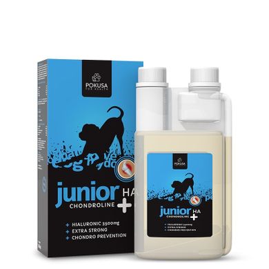 Pokusa, Chondro Line JUNIOR + HA, suplement dla psa, 500 ml
