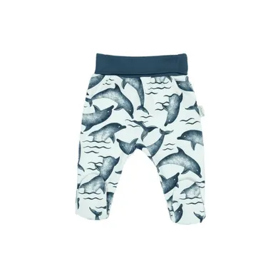 Półśpiochy chłopięce, mix, Nicol