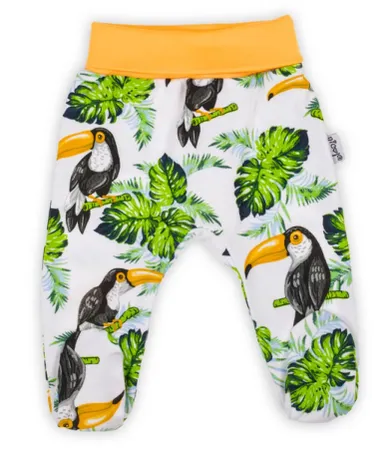 Półśpiochy chłopięce, mix, Nicol