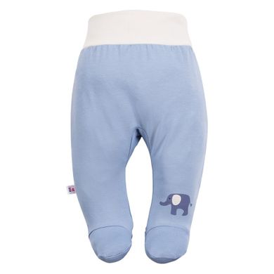 Półśpiochy chłopięce, niebieskie, Eevi