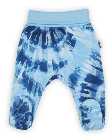 Półśpiochy chłopięce niebieskie, Nicol