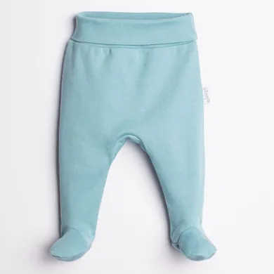 Półśpiochy chłopięce, niebieskie, Nicol