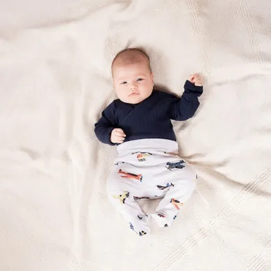 Półśpiochy chłopięce, szare, Nicol