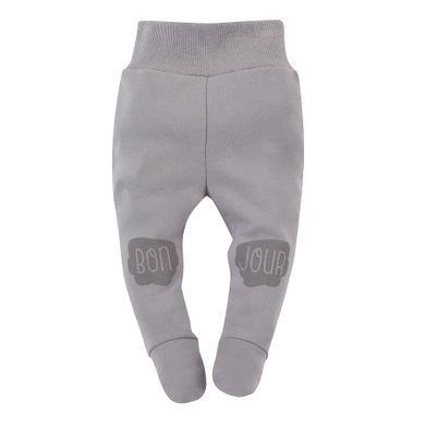 Półśpiochy chłopięce, szare, Pinokio