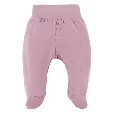 Półśpiochy dziewczęce, fioletowe, Eevi