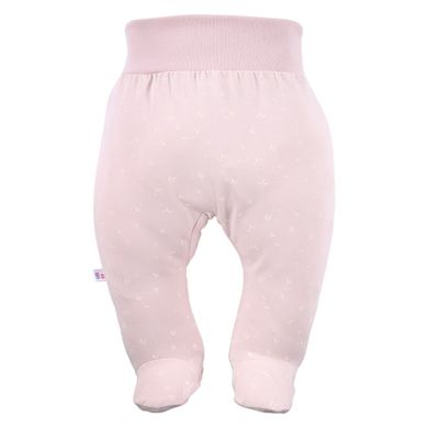 Półśpiochy dziewczęce, różowe, Eevi