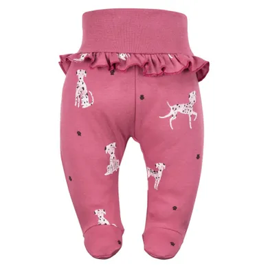 Półśpiochy dziewczęce, różowe, Eevi