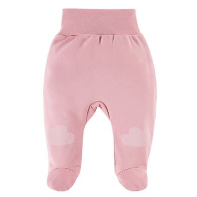 Półśpiochy dziewczęce, różowe, Eevi