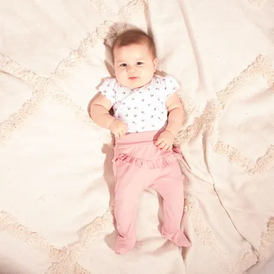 Półśpiochy dziewczęce, różowe, Nicol