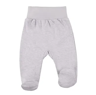 Półśpiochy niemowlęce, szare, Eevi