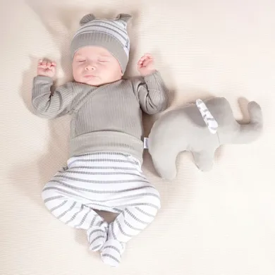 Półśpiochy niemowlęce, szare, Nicol