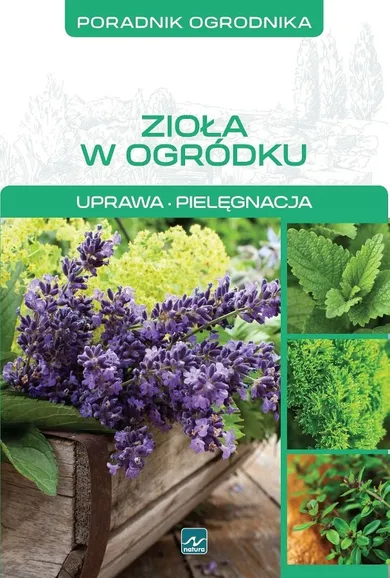 Poradnik ogrodnika. Zioła w ogródku